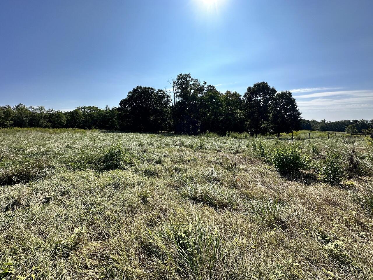 22 Grassland Drive Sandy Level, VA 24161 - Photo 6 of 9 IMG_7752