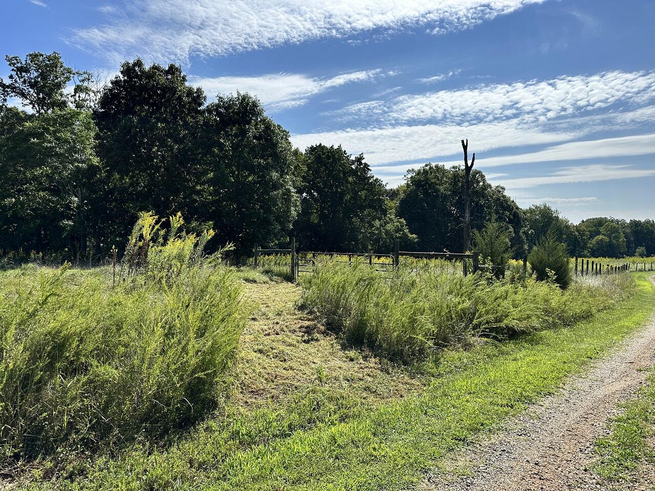 22 Grassland Drive Sandy Level, VA 24161 - Photo 7 of 9 IMG_7754