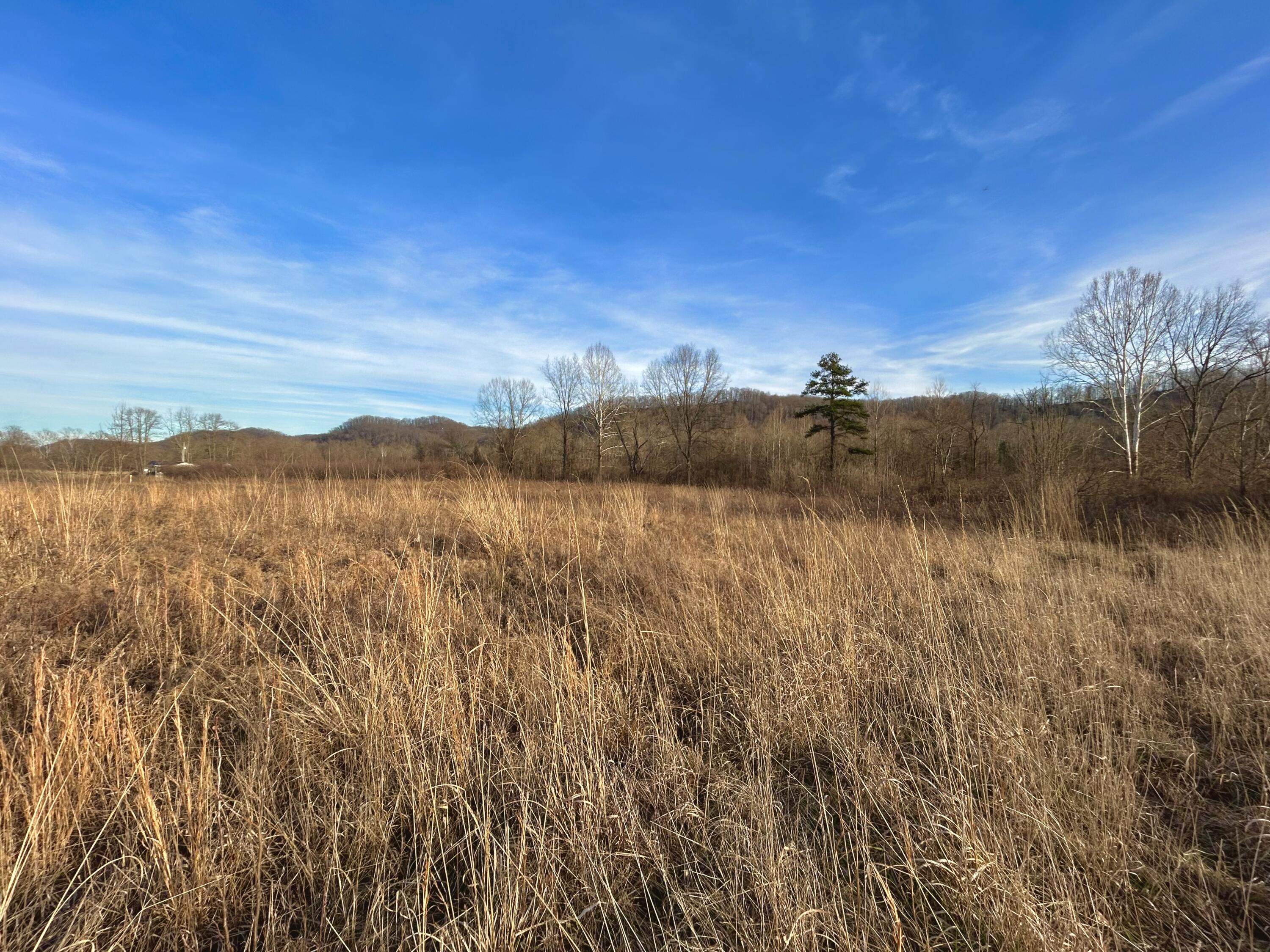 0 Cranston Road Morehead, KY 40351 - Photo 10 of 14 IMG_6578