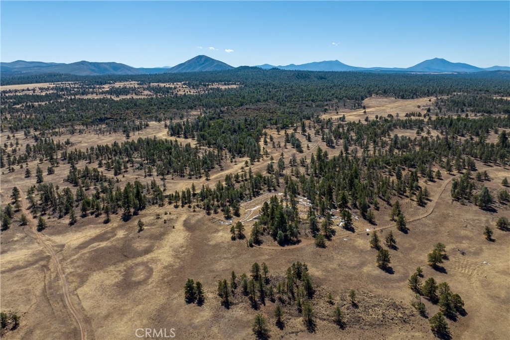 0 Old Hwy Road Fall River Mills, CA 96028 - Photo 3 of 14 Gallery Image 3