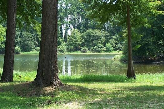 5912 Carters Ferry Road Zwolle, LA 71486 - Photo 3 of 13 Gallery Image 3