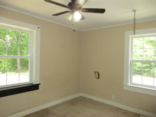 325 Pierce Hill Road Spring City, TN 37381 - Photo 13 of 26 13