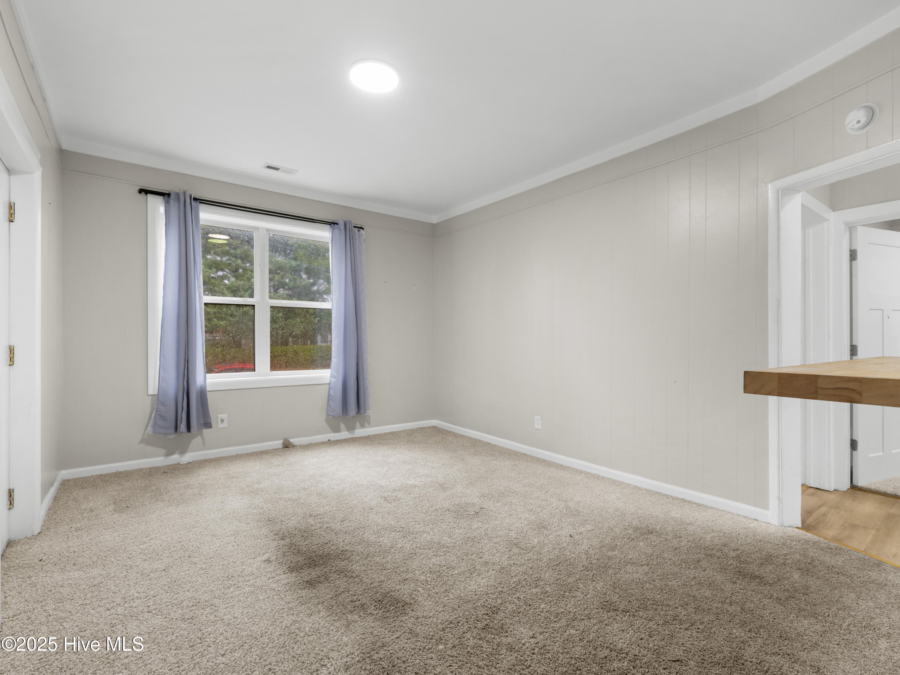 125 Preston Road Jacksonville, NC 28540 - Photo 14 of 30 025A1633