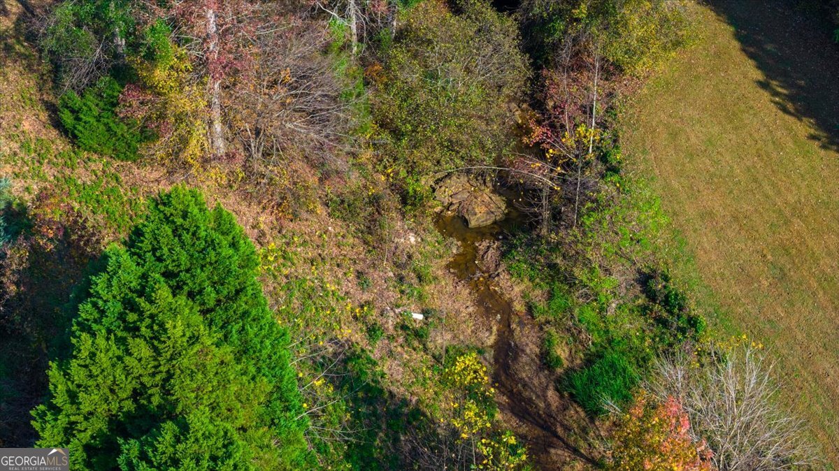 518 River Overlook Forsyth, GA 31029 - Photo 81 of 85