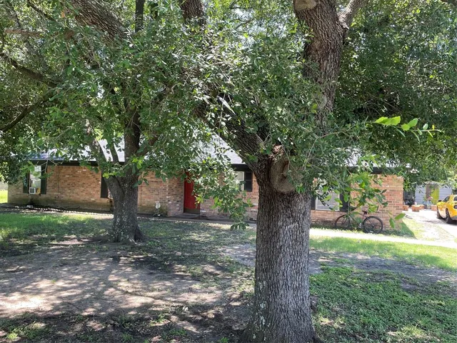 a view of a trees in a yard with large trees