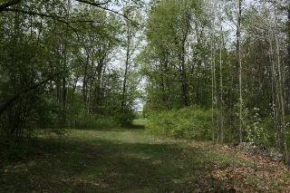 8175 Summerfield Road Petersburg, MI 49270 - Photo 20 of 20 Trail out of Meadow