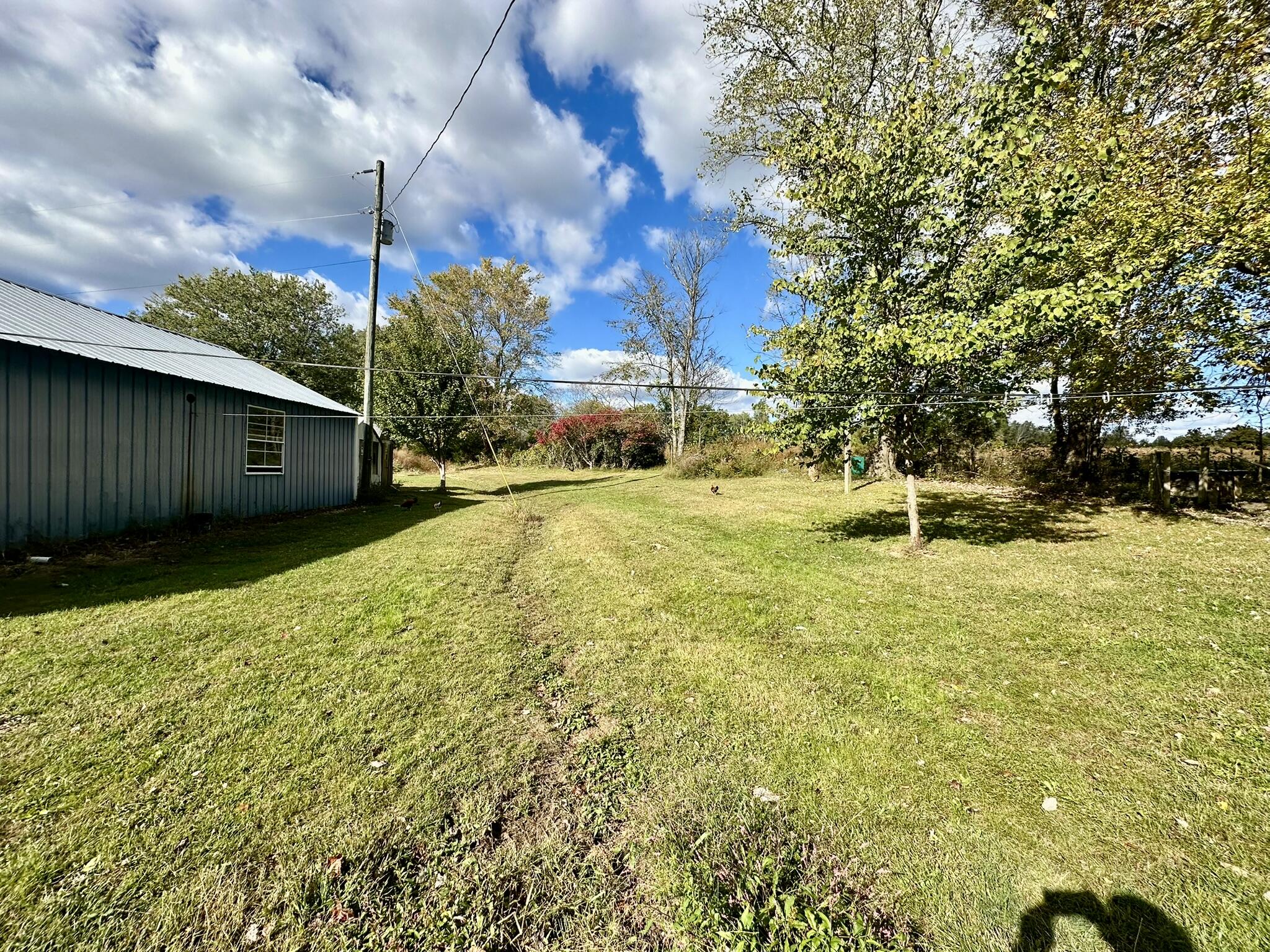 196 Oaks Road Russell Springs, KY 42642 - Photo 16 of 27 16
