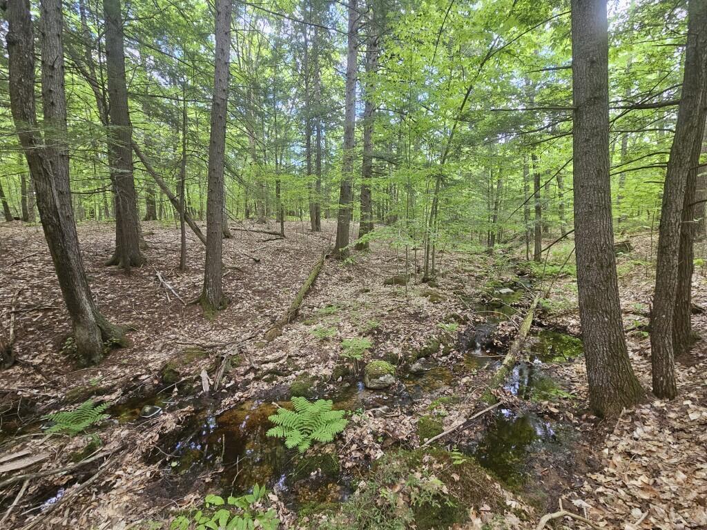 M10-l44 Mountain View Road Fryeburg, ME 04037 - Photo 23 of 36