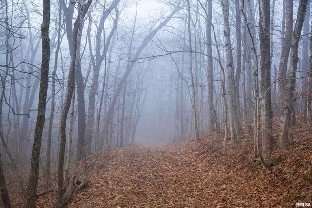 $435,000 | 12532 Geiman Road, Browning, IL 62624