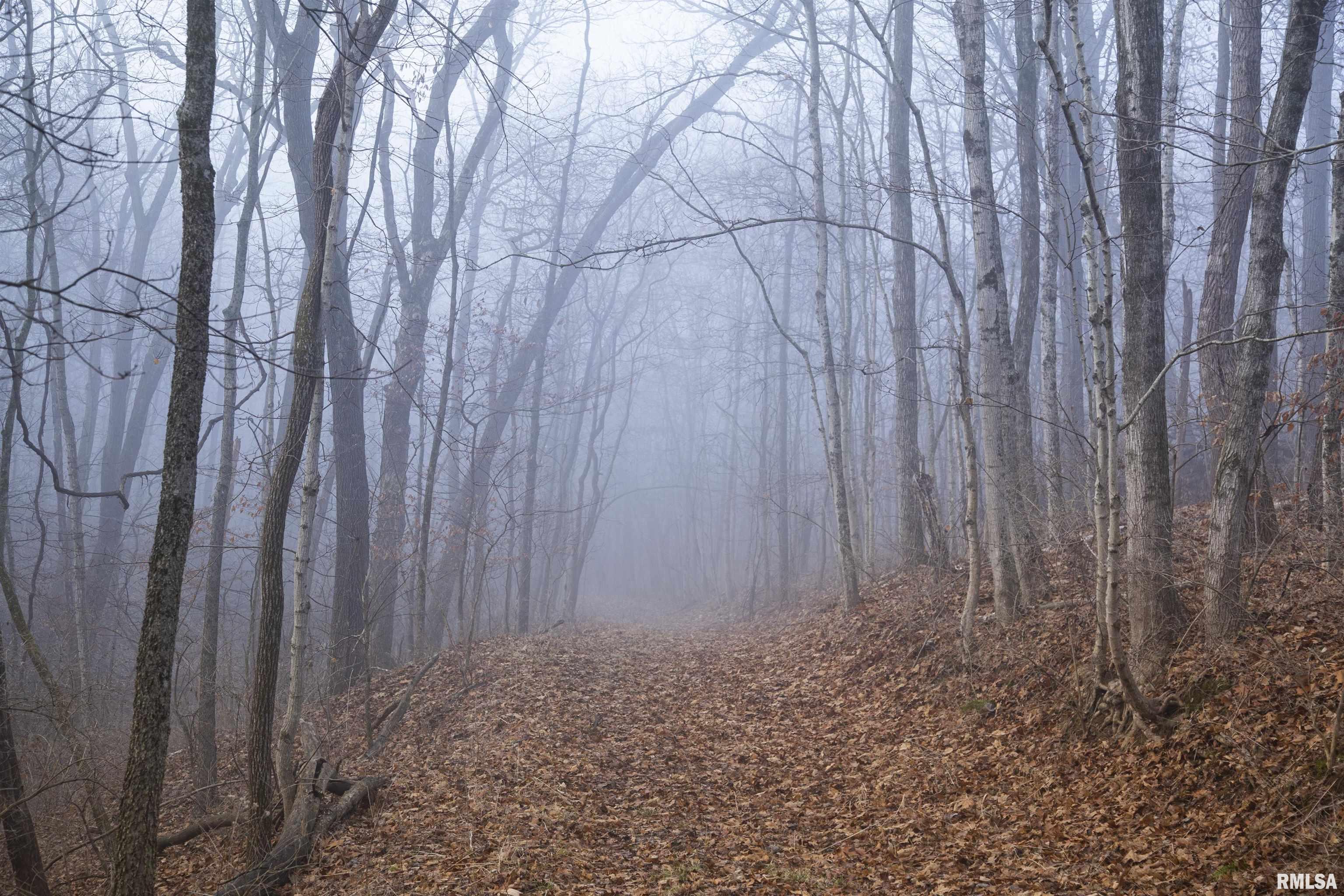 12532 Geiman Road Browning, IL 62624 - Photo 16 of 39