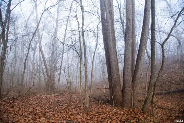 $435,000 | 12532 Geiman Road, Browning, IL 62624