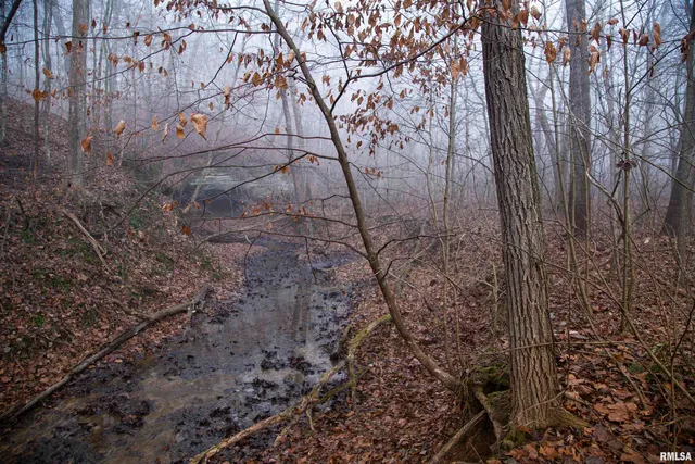 $435,000 | 12532 Geiman Road, Browning, IL 62624