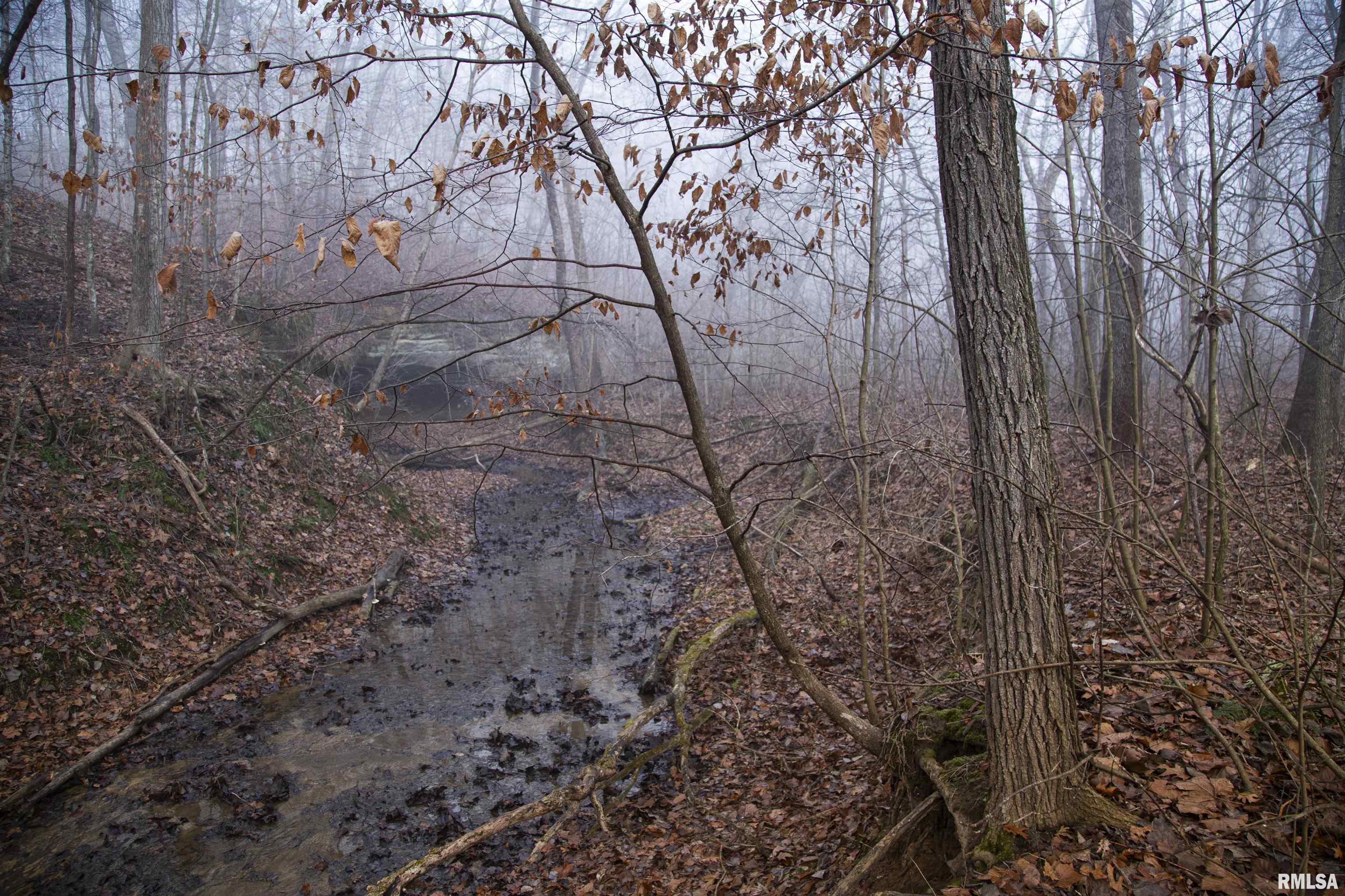 12532 Geiman Road Browning, IL 62624 - Photo 18 of 39