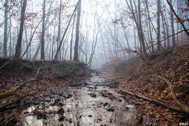 $435,000 | 12532 Geiman Road, Browning, IL 62624