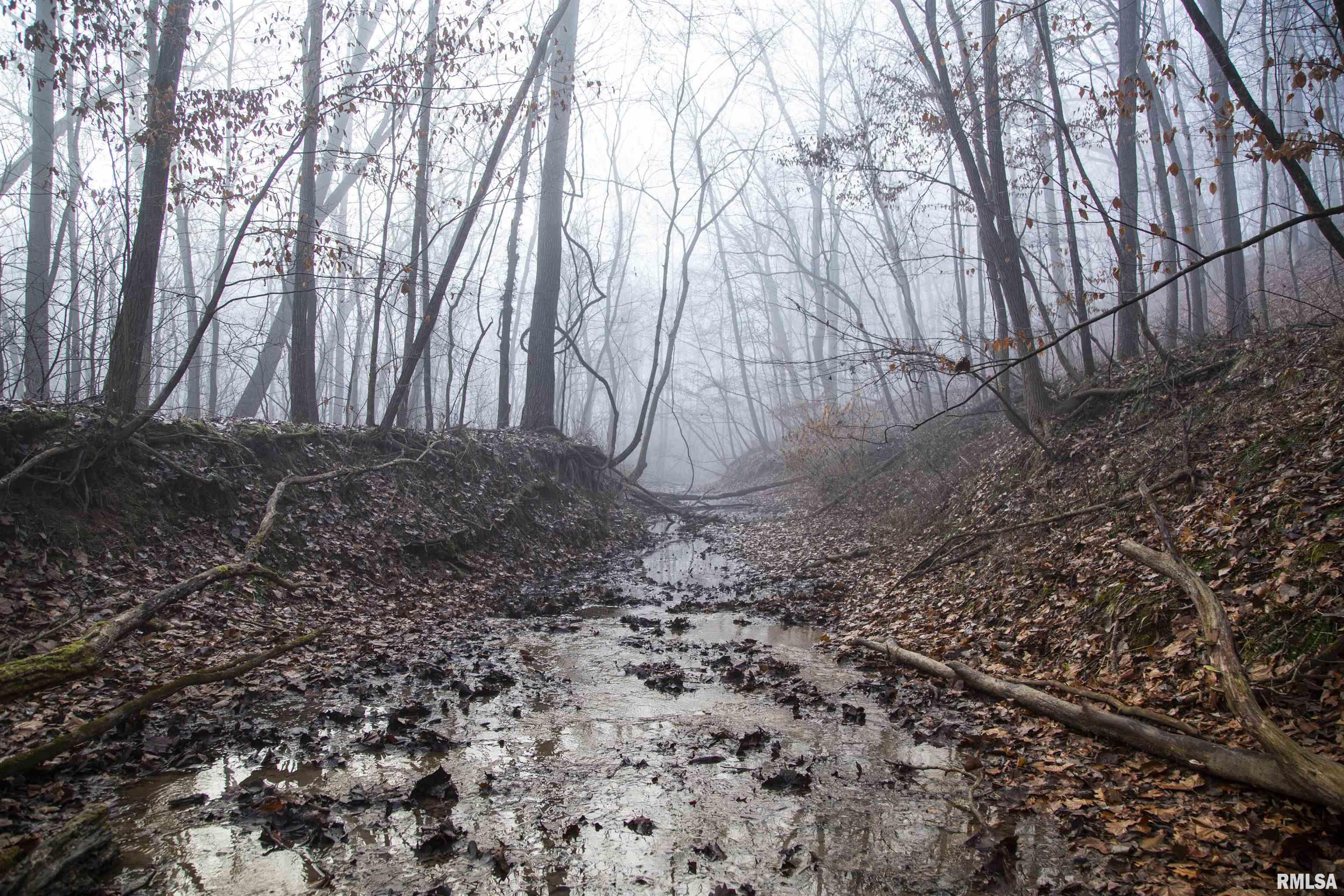 12532 Geiman Road Browning, IL 62624 - Photo 19 of 39