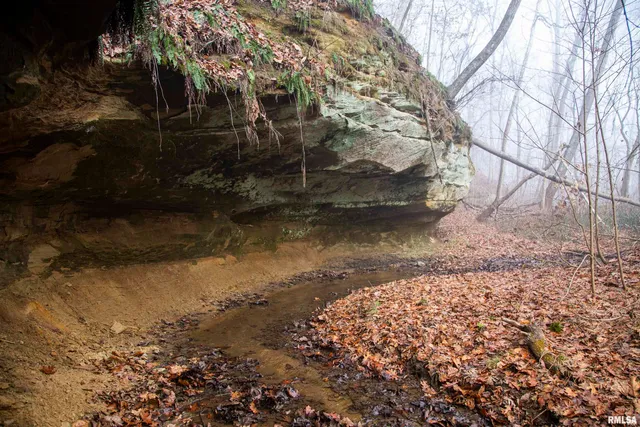 $435,000 | 12532 Geiman Road, Browning, IL 62624