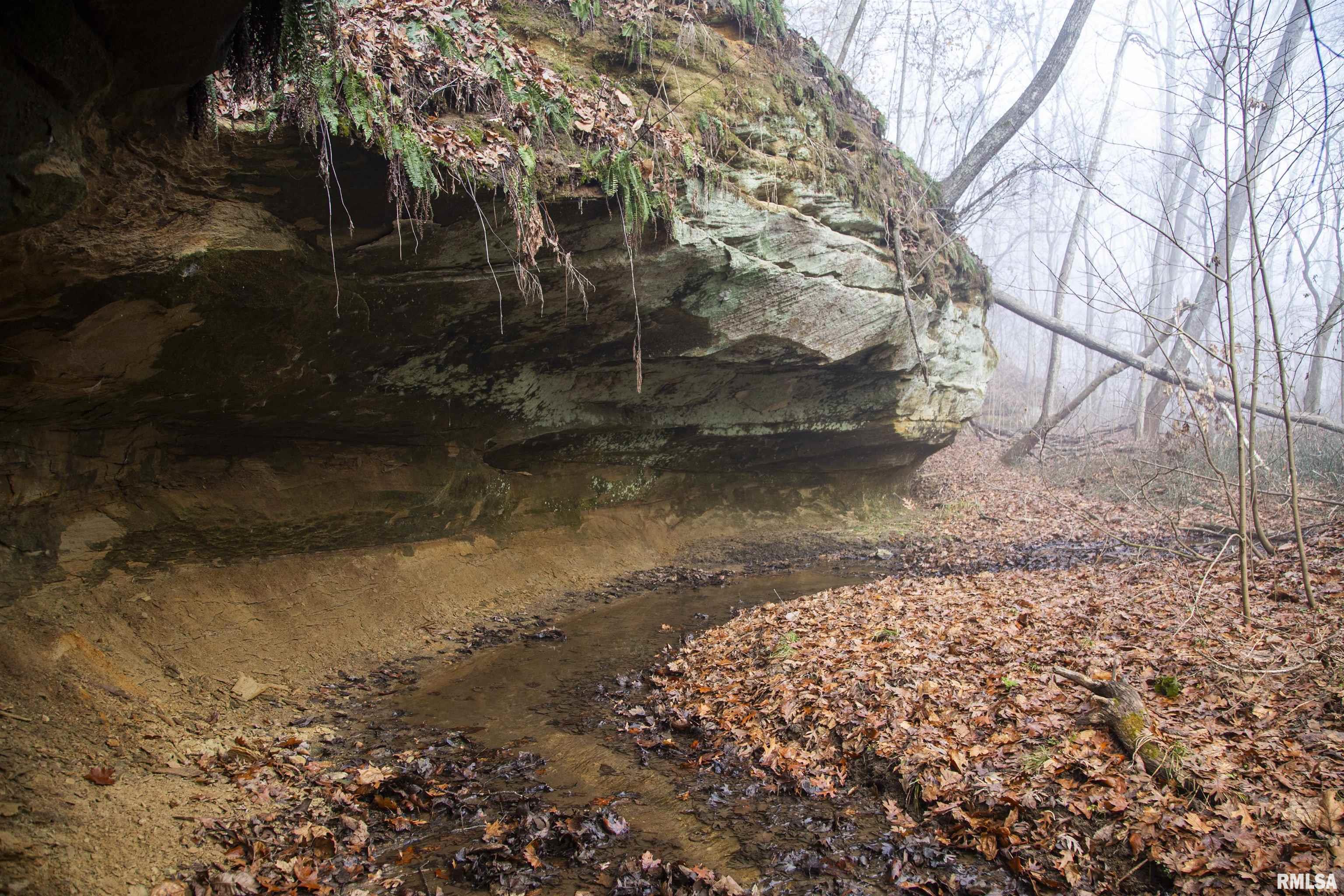 12532 Geiman Road Browning, IL 62624 - Photo 20 of 39