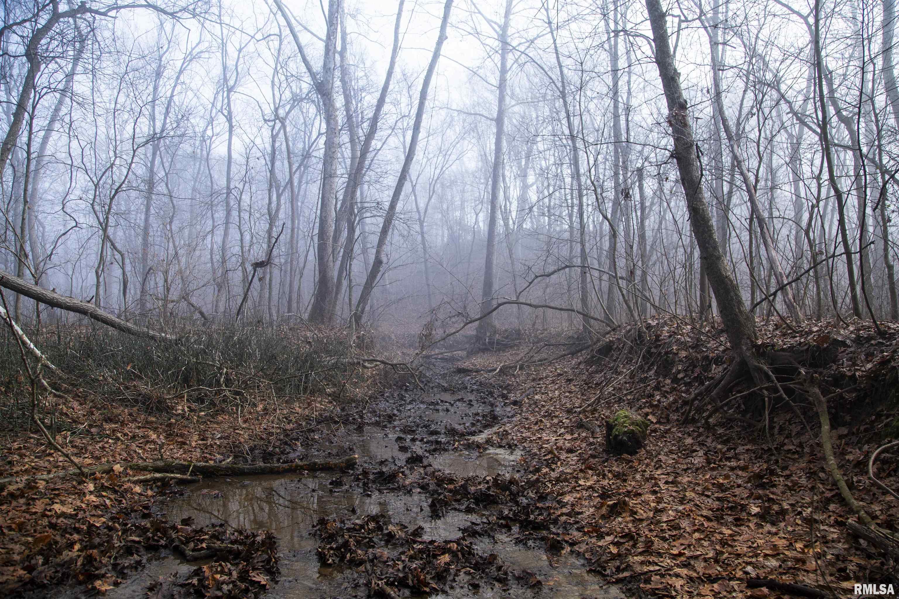 12532 Geiman Road Browning, IL 62624 - Photo 21 of 39