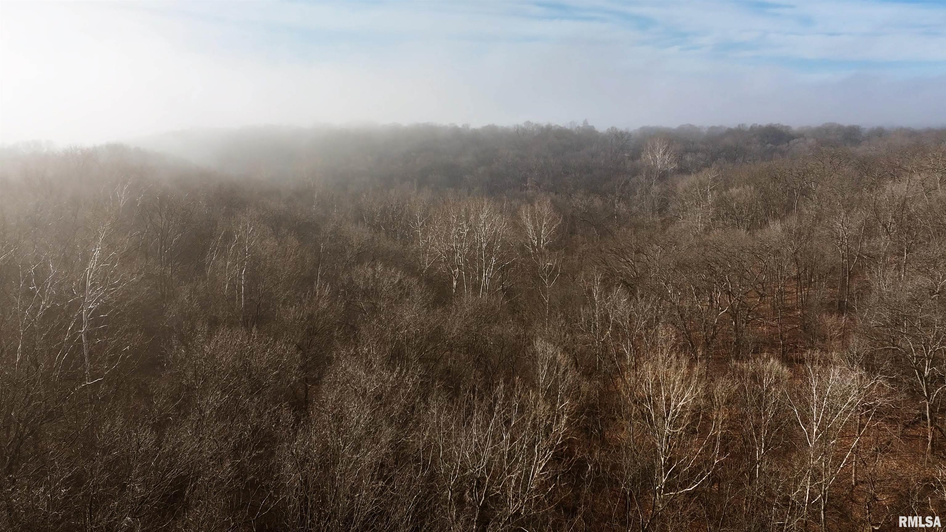 12532 Geiman Road Browning, IL 62624 - Photo 24 of 39