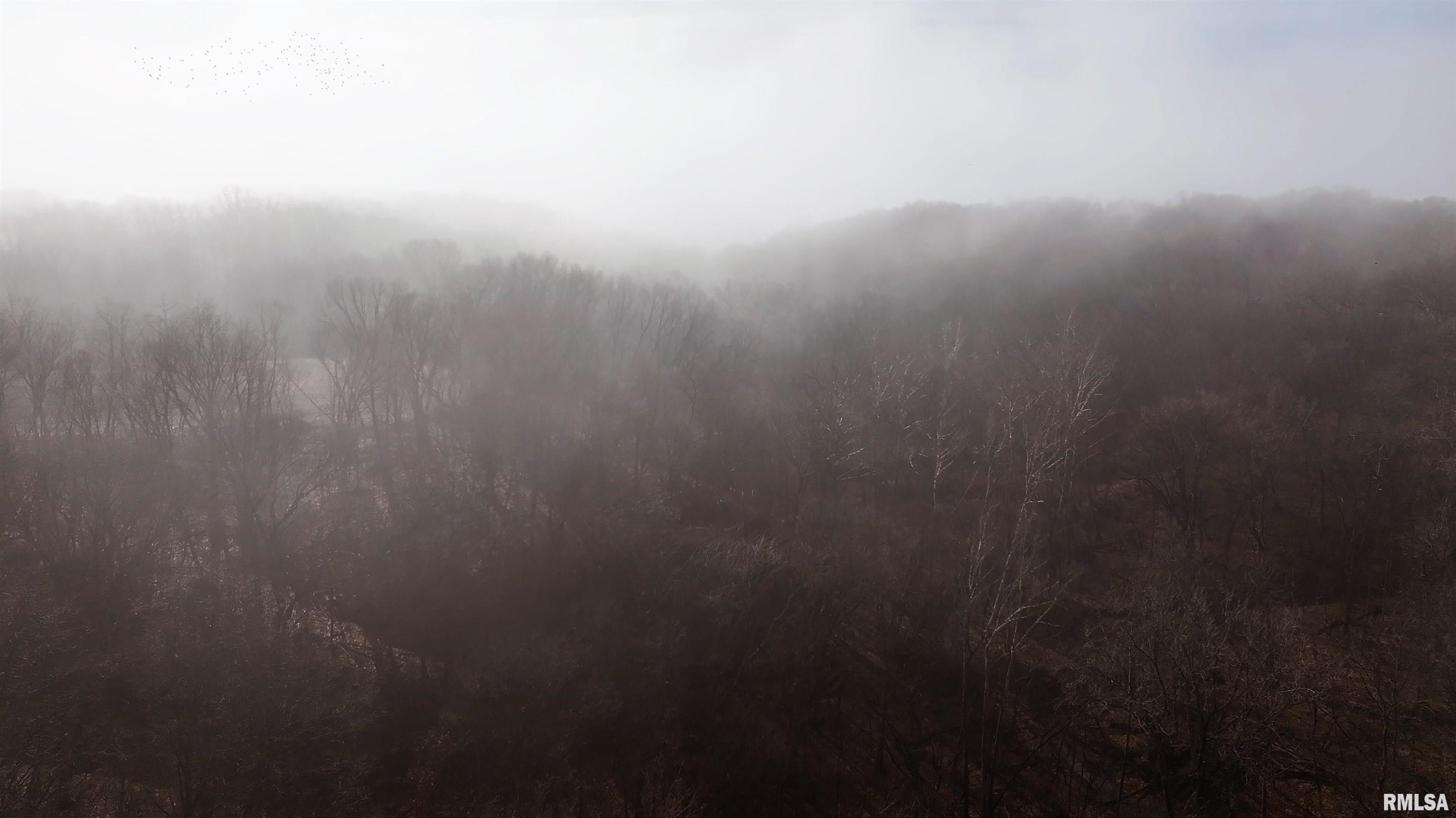 12532 Geiman Road Browning, IL 62624 - Photo 25 of 39