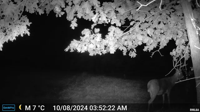 $435,000 | 12532 Geiman Road, Browning, IL 62624