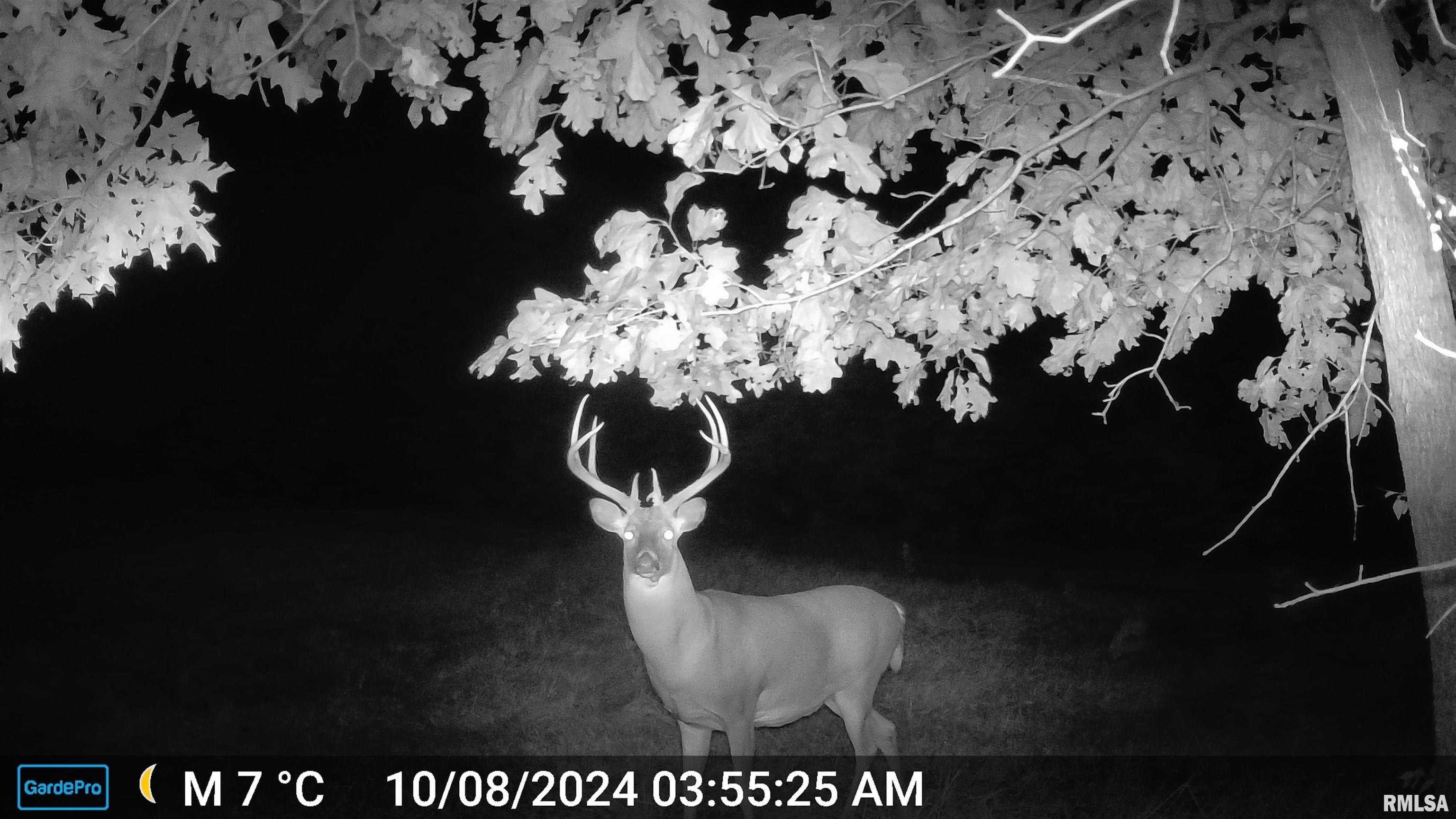 12532 Geiman Road Browning, IL 62624 - Photo 27 of 39