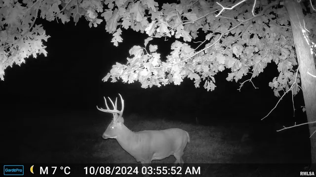 $435,000 | 12532 Geiman Road, Browning, IL 62624