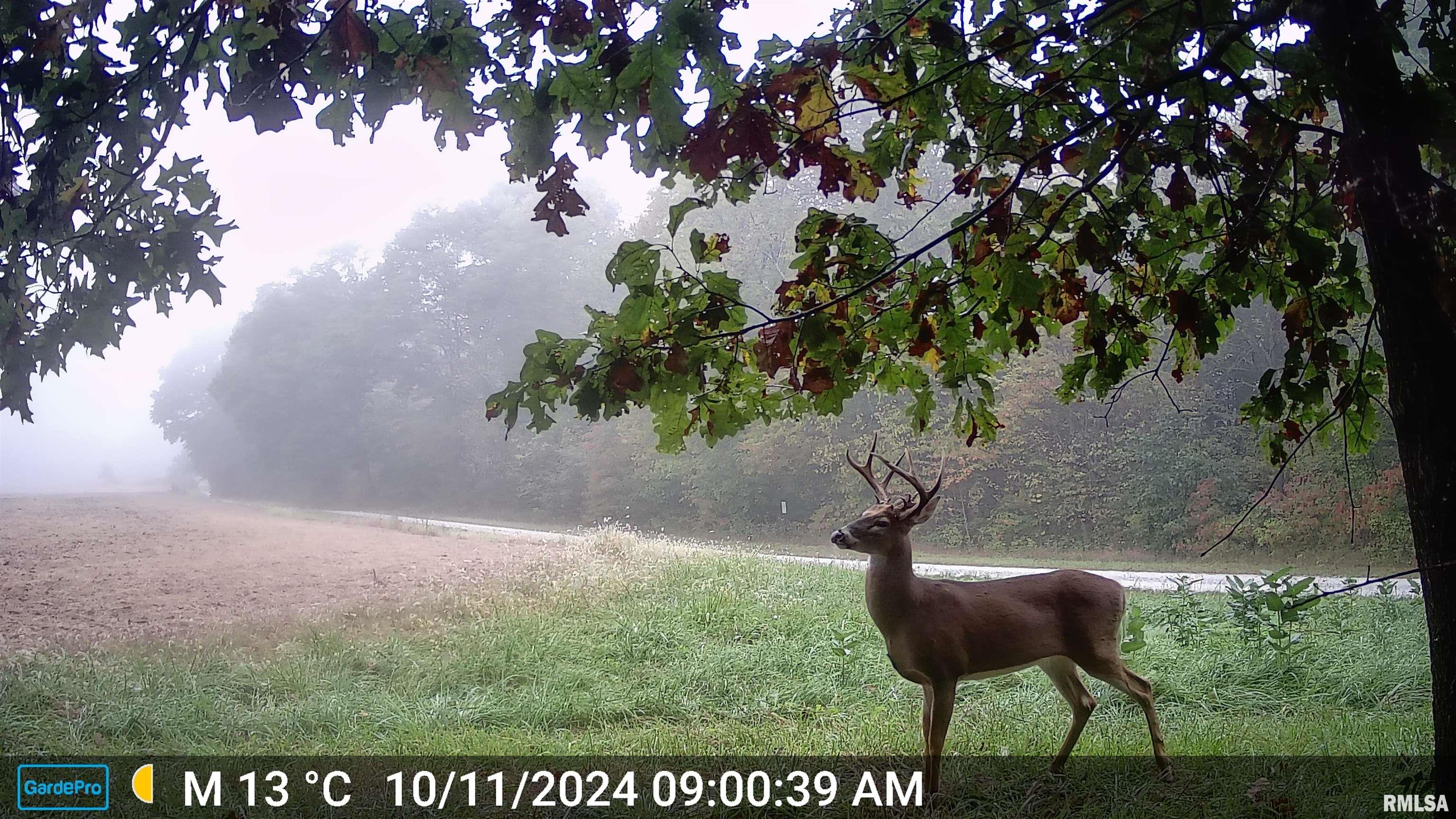 12532 Geiman Road Browning, IL 62624 - Photo 29 of 39