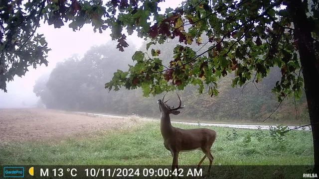 $435,000 | 12532 Geiman Road, Browning, IL 62624