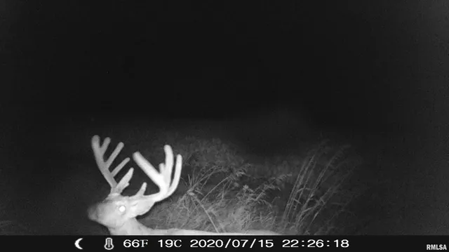 $435,000 | 12532 Geiman Road, Browning, IL 62624