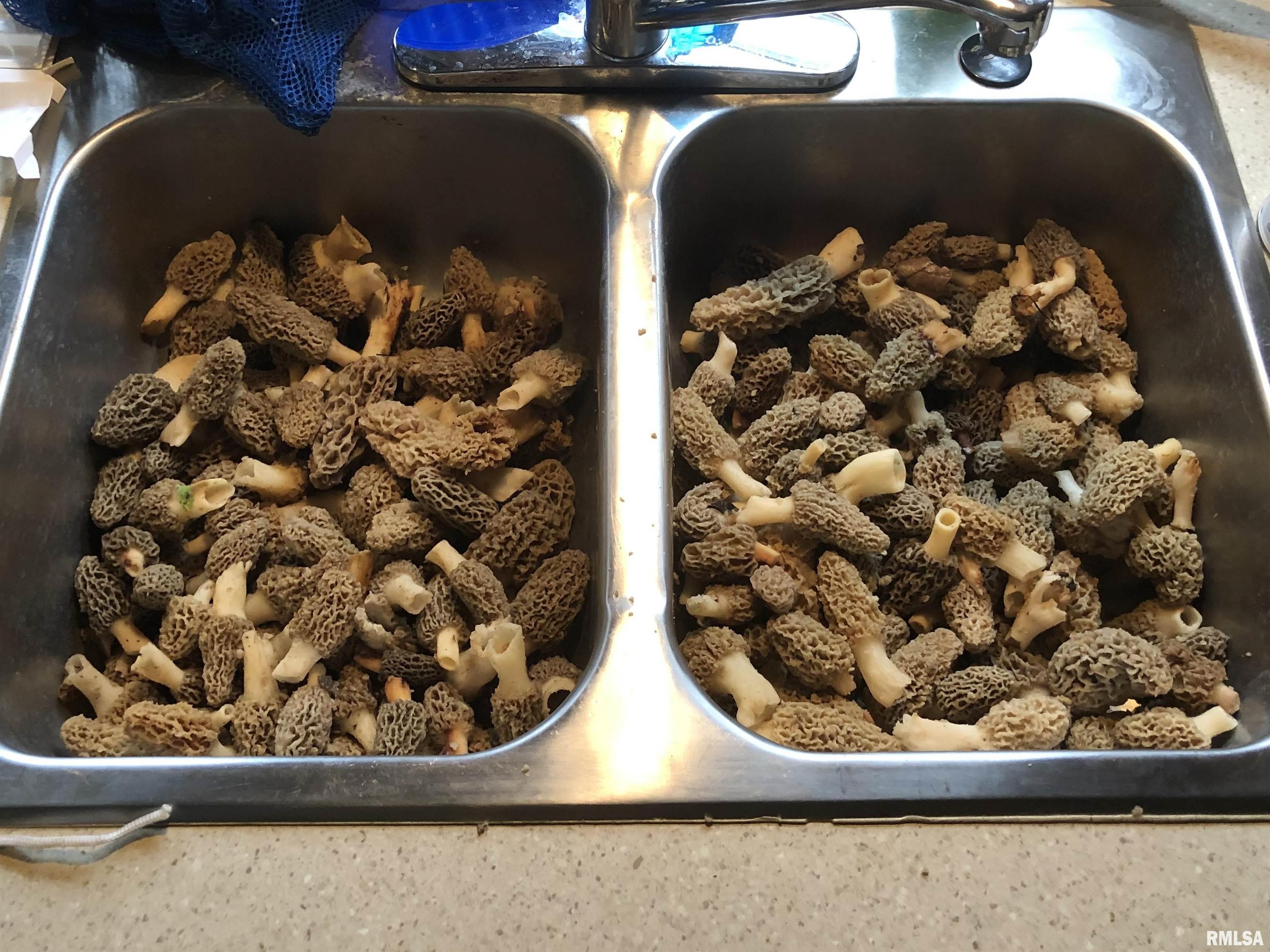 12532 Geiman Road Browning, IL 62624 - Photo 32 of 39