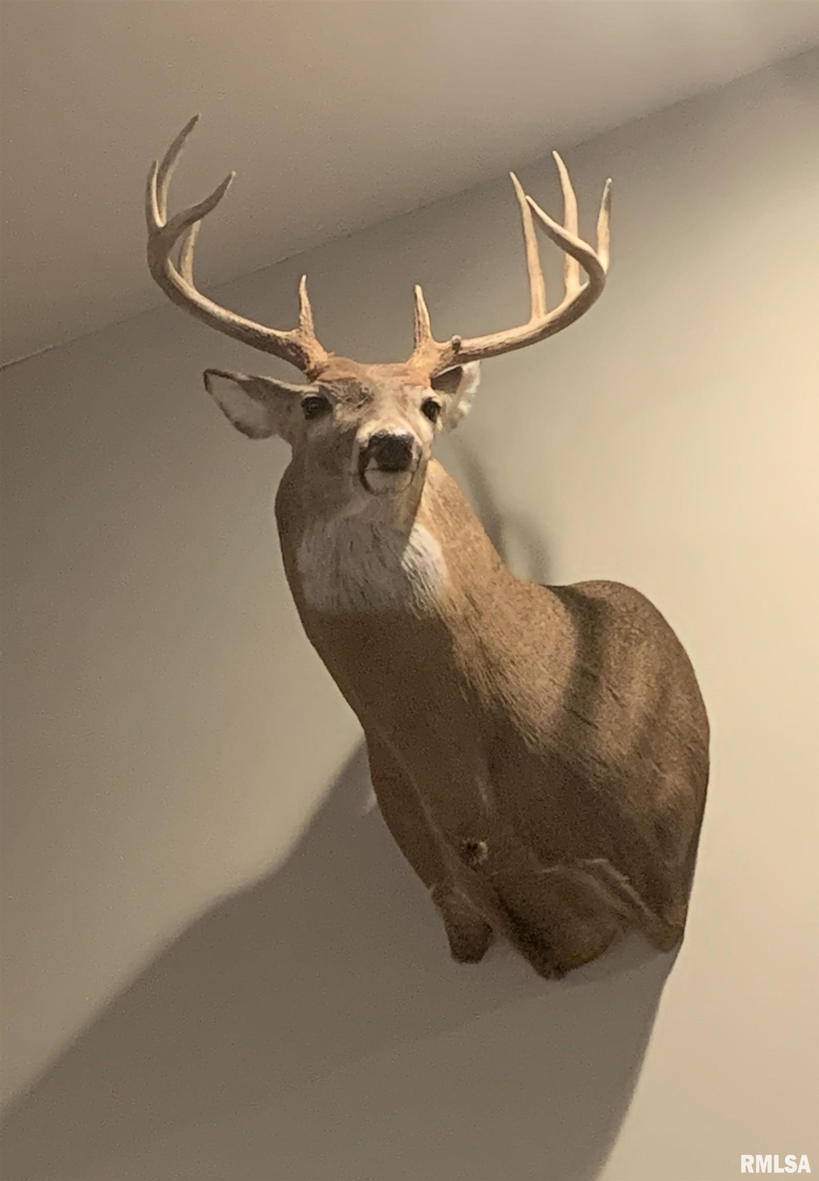 12532 Geiman Road Browning, IL 62624 - Photo 33 of 39