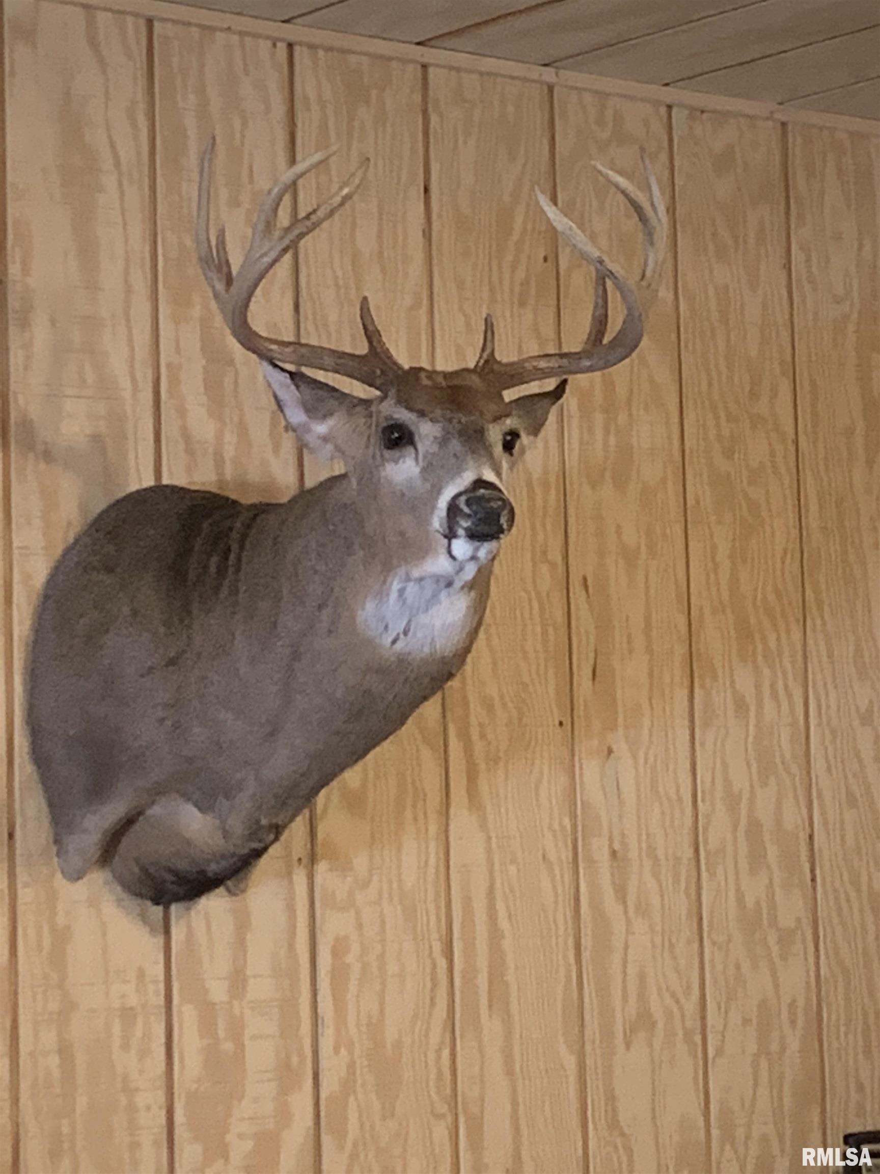 12532 Geiman Road Browning, IL 62624 - Photo 34 of 39