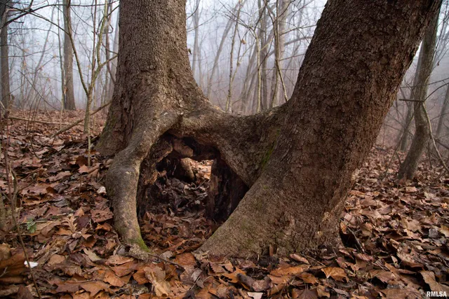 $435,000 | 12532 Geiman Road, Browning, IL 62624