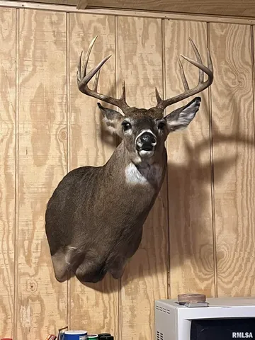 $435,000 | 12532 Geiman Road, Browning, IL 62624