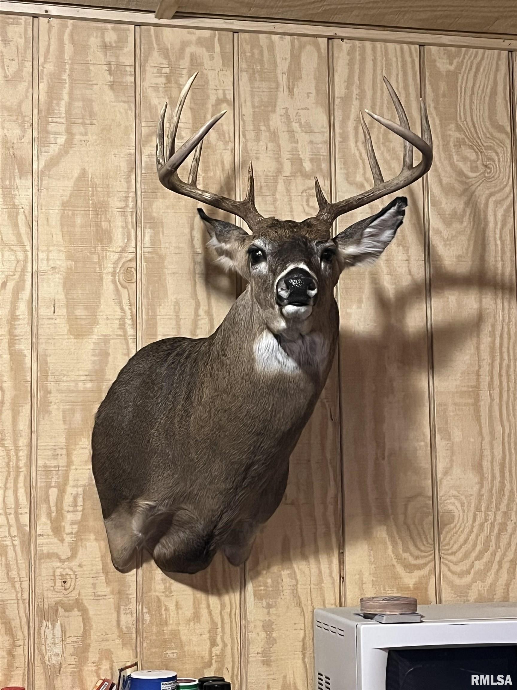 12532 Geiman Road Browning, IL 62624 - Photo 36 of 39