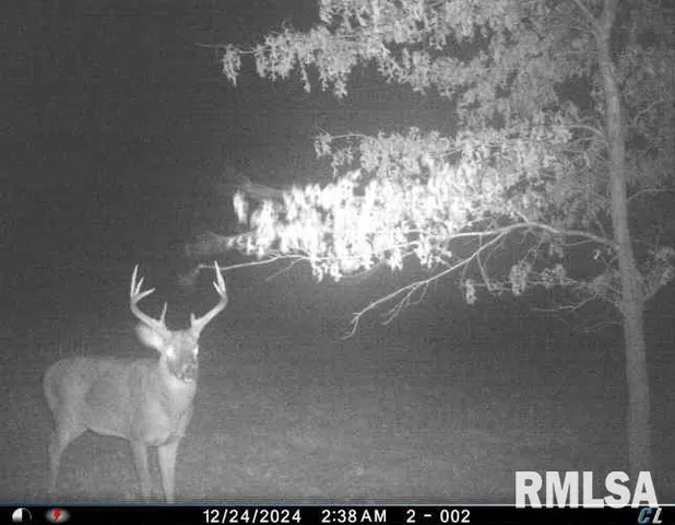 $435,000 | 12532 Geiman Road, Browning, IL 62624