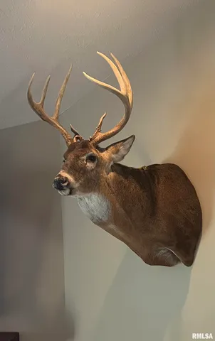 $435,000 | 12532 Geiman Road, Browning, IL 62624