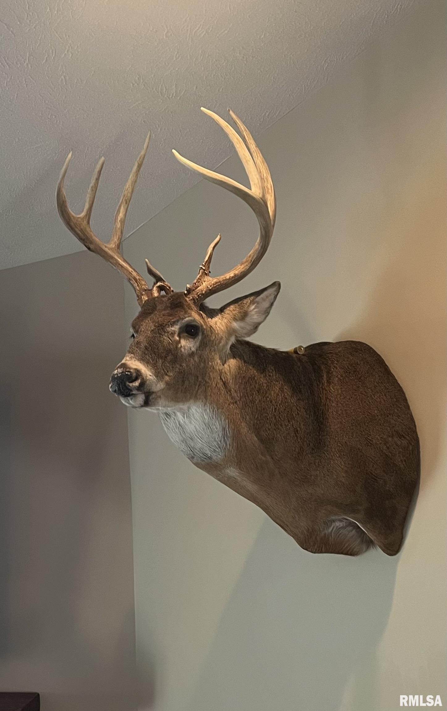 12532 Geiman Road Browning, IL 62624 - Photo 38 of 39