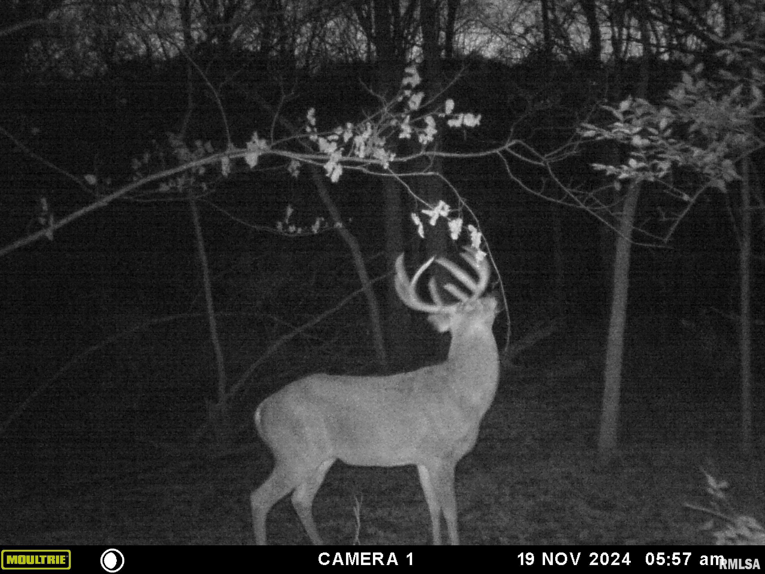 12532 Geiman Road Browning, IL 62624 - Photo 39 of 39