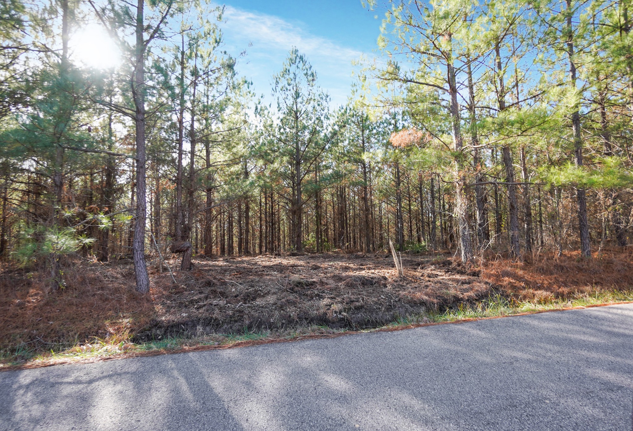 6 Cottrell Ridge Road Dover, TN 37058 - Photo 2 of 11 Gallery Image 2