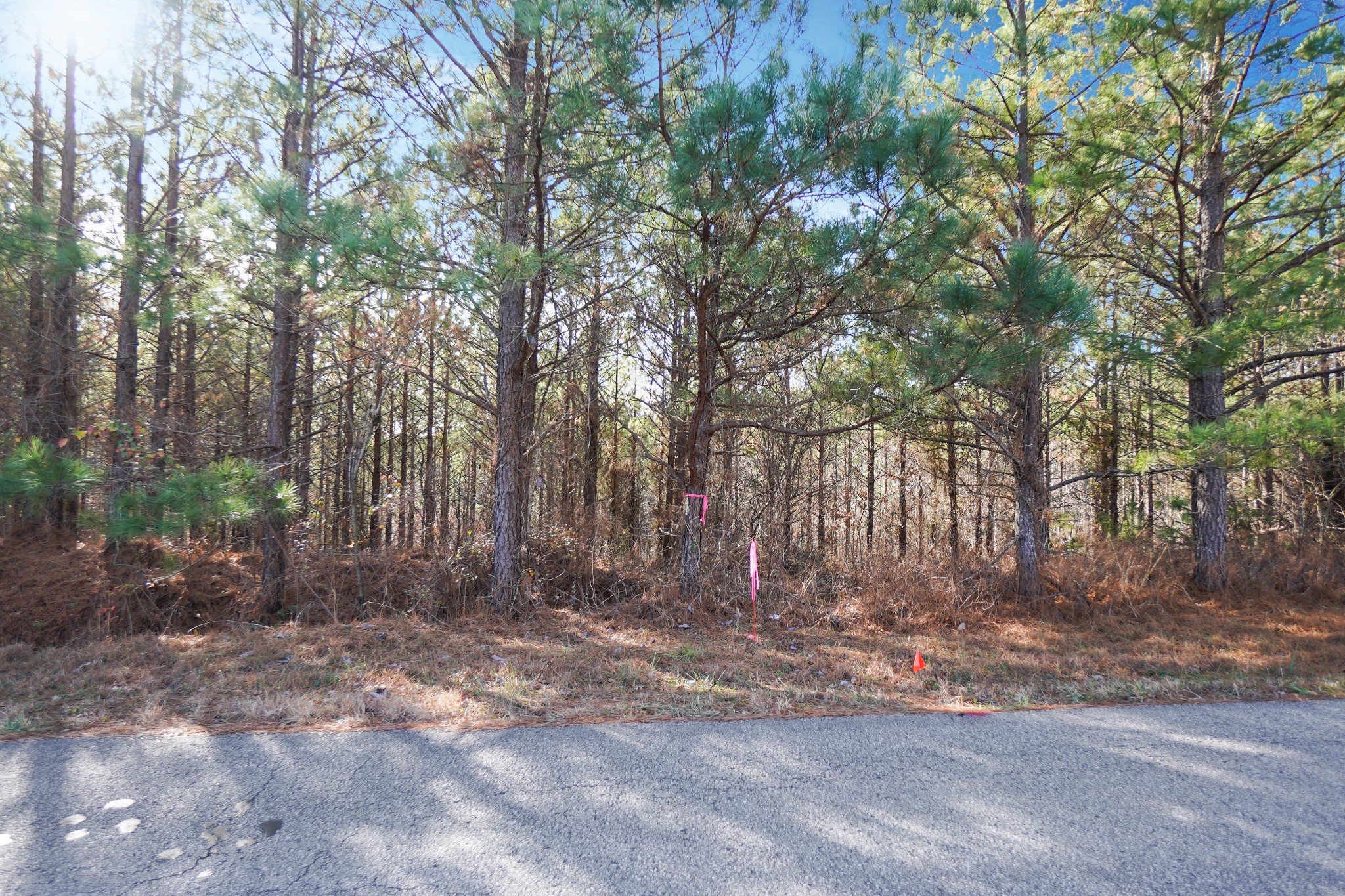6 Cottrell Ridge Road Dover, TN 37058 - Photo 3 of 11 Gallery Image 3