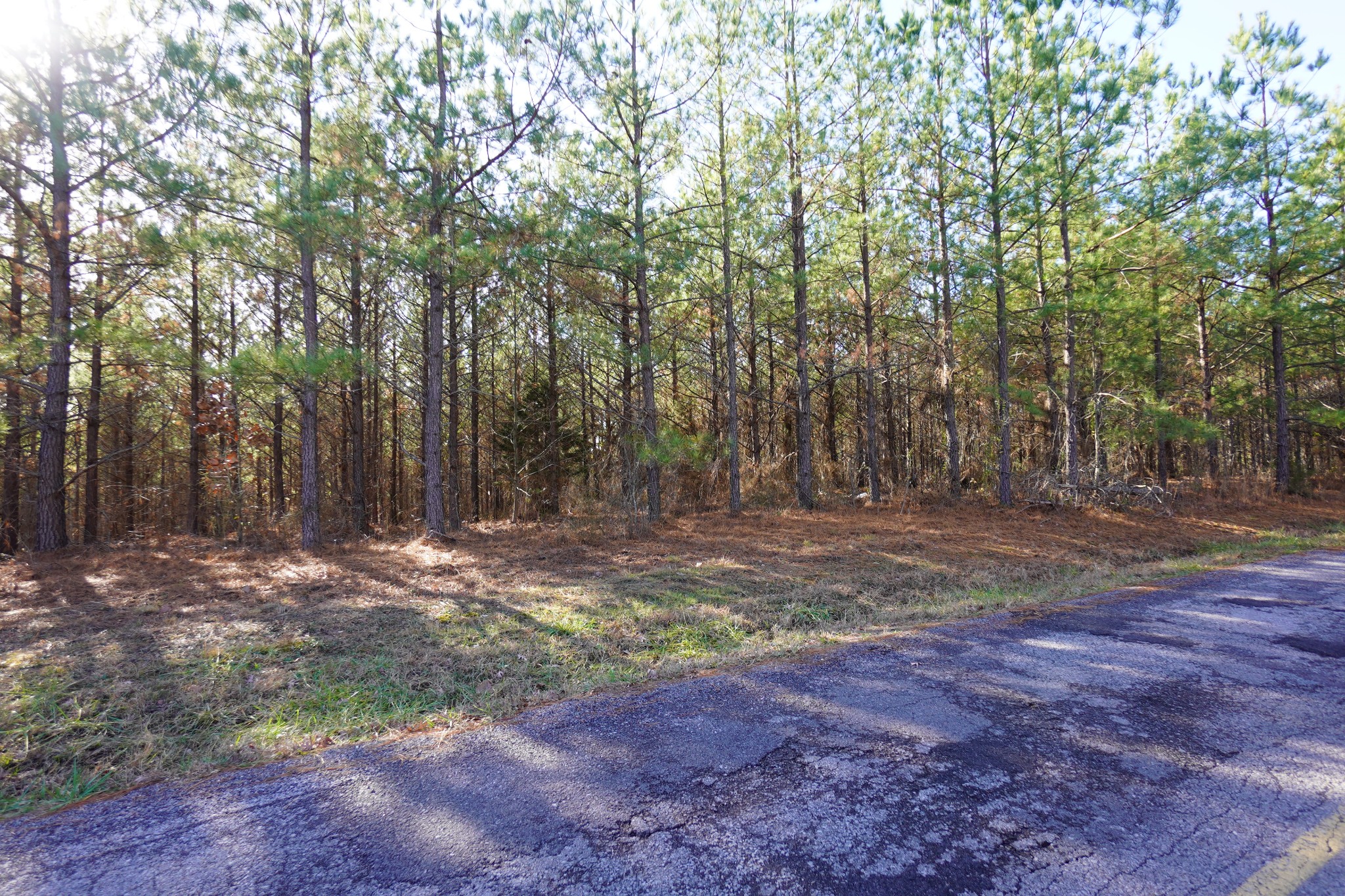 6 Cottrell Ridge Road Dover, TN 37058 - Photo 9 of 11 Gallery Image 9
