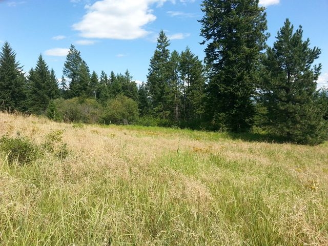 3378 J Hill Loop Road Kettle Falls, WA 99141 - Photo 2 of 5 Gallery Image 2