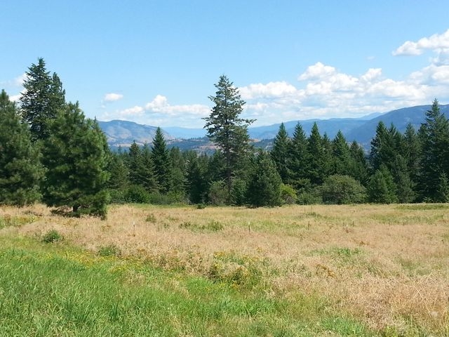 3378 J Hill Loop Road Kettle Falls, WA 99141 - Photo 4 of 5 Gallery Image 4