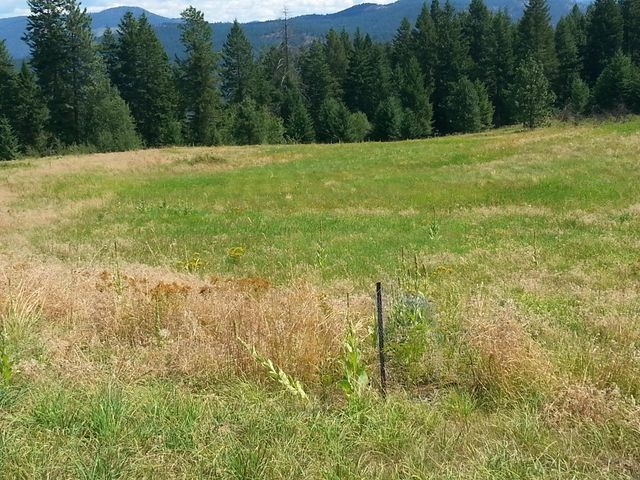 3378 J Hill Loop Road Kettle Falls, WA 99141 - Photo 5 of 5 Gallery Image 5