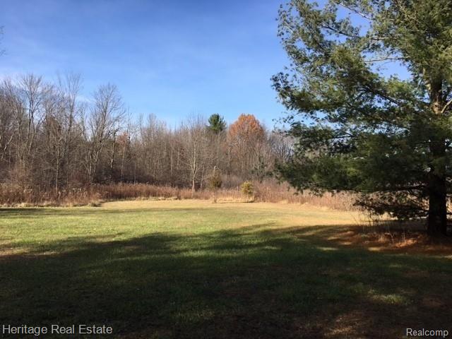 Vacant Baldwin Road Lake Orion, MI 48360 - Photo 5 of 11 Gallery Image 5