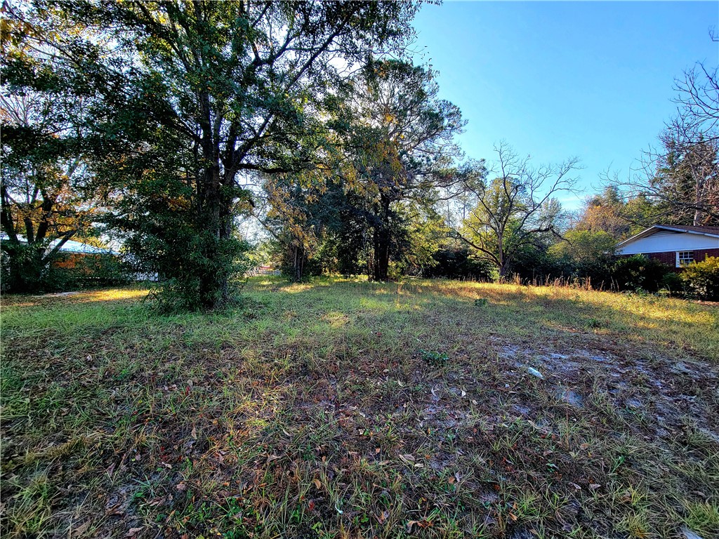 0 Pioneer Street Waycross, GA 31501 - Photo 2 of 3