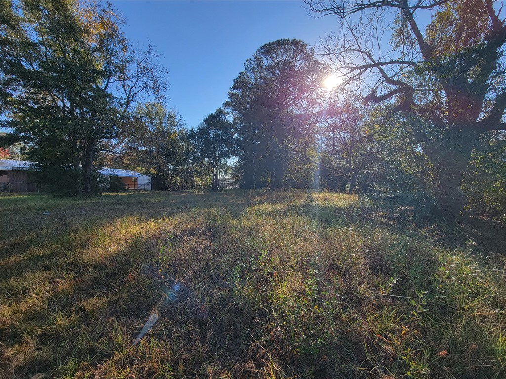 0 Pioneer Street Waycross, GA 31501 - Photo 3 of 3