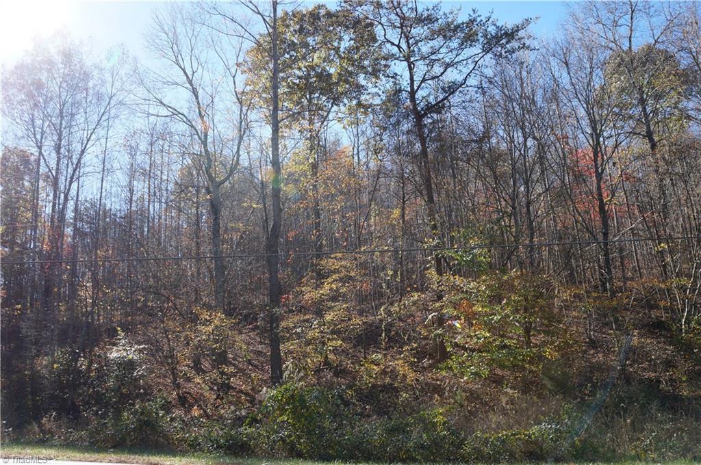 0 Massey Road Mount Airy, NC 27030 - Photo 14 of 25 Gallery Image 14